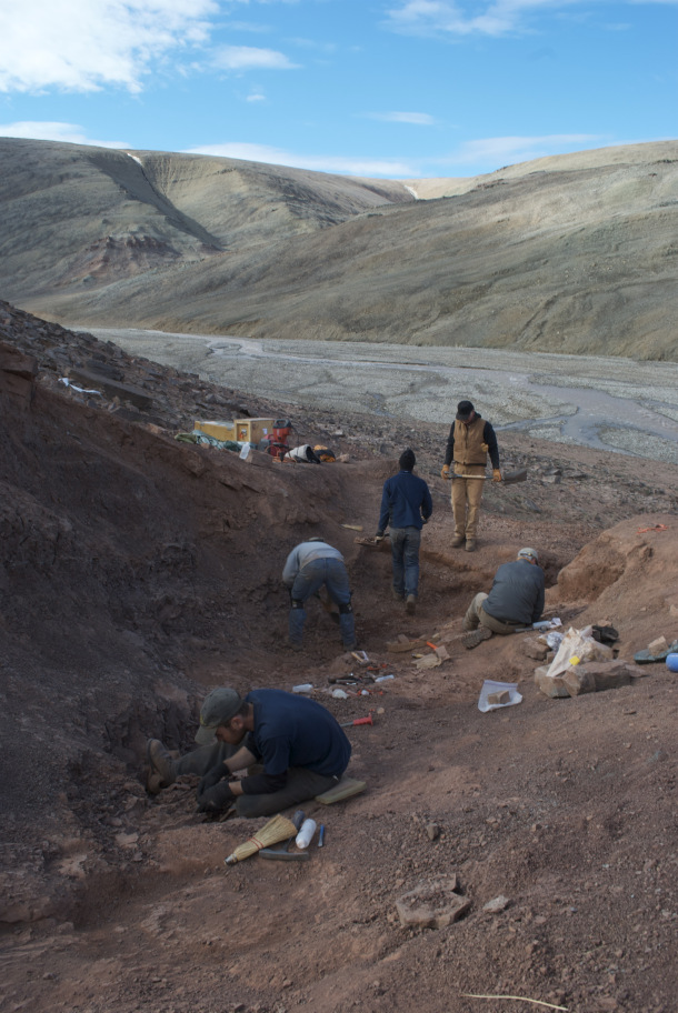 Scientists dig for fossils at Ellesmere Island in the Canadian Arctic.